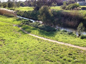 Merri Creek view
